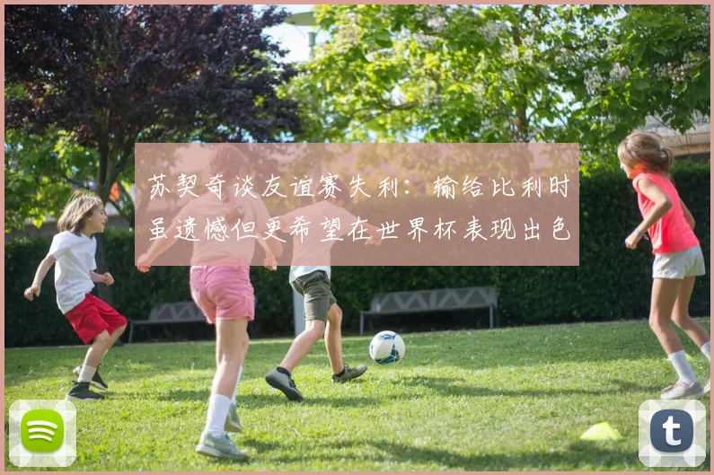 苏契奇谈友谊赛失利：输给比利时虽遗憾但更希望在世界杯表现出色