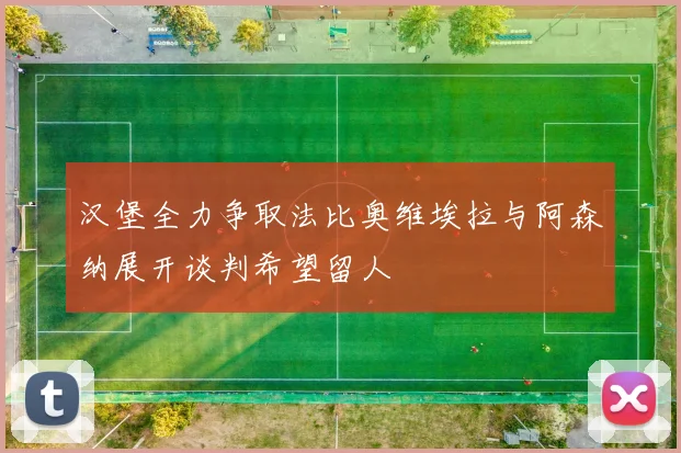 汉堡全力争取法比奥维埃拉与阿森纳展开谈判希望留人